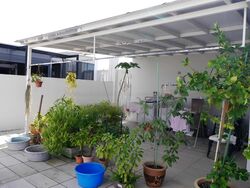 Riversound Residence (D19), Condominium #483786111